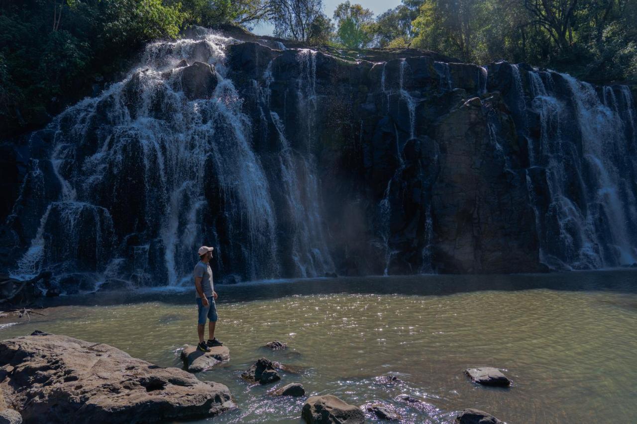 Reserva Natural Iguazu - Pristine Luxury Camp Puerto Libertad Ngoại thất bức ảnh